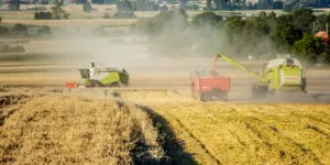 Wnioski o&nbsp;rekompensaty dla rolników – jak uzyskać wsparcie z&nbsp;Funduszu Ochrony Rolnictwa?