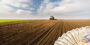 Ruszyły wnioski o&nbsp;dopłaty bezpośrednie 2025 — co warto wiedzieć?