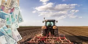 Ekoschematy 2025 — stawki dopłat i&nbsp;tabela łączenia ekoschematów