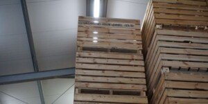 Ruszają inwestycje w&nbsp;przechowalnie warzyw na Ukrainie