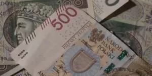 Jakie dopłaty za dobrostan zwierząt za 2024 r.? Znamy stawki