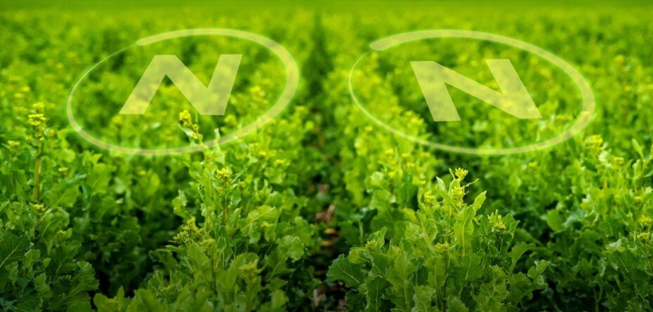 Bakterie azotowe a decyzja rolnika. Czego oczekują gospodarstwa i jak odpowiada na to ENCERA WG?