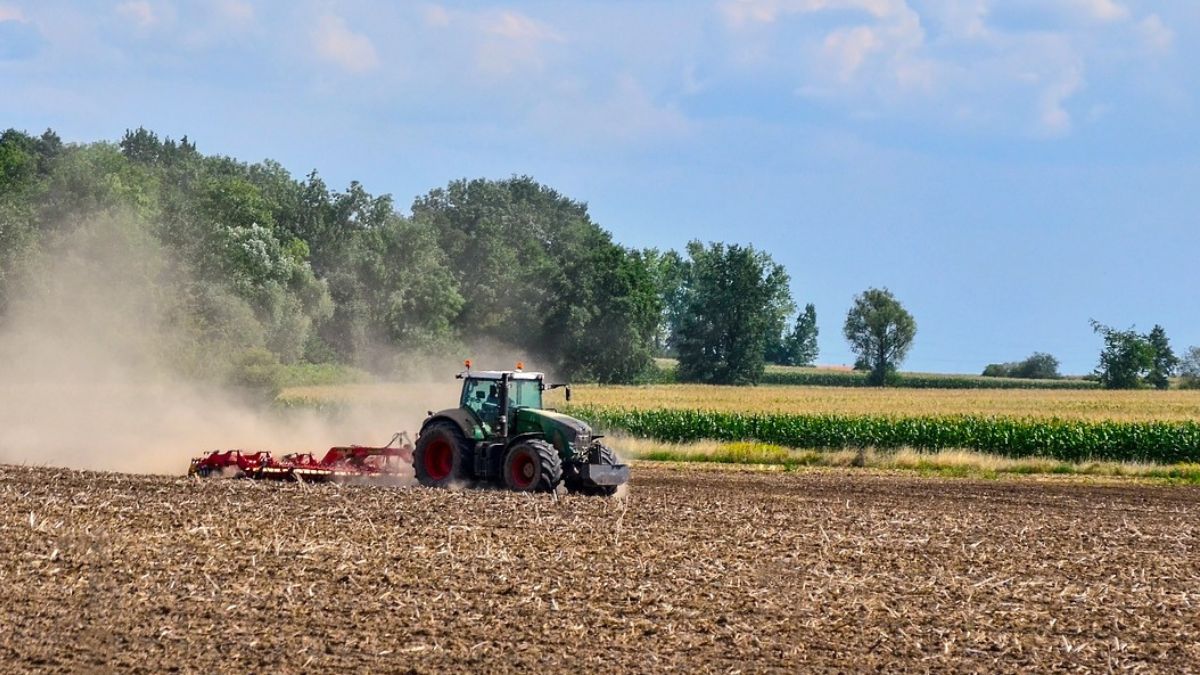 KOWR sprzedaje 100-ha gospodarstwo z dobrymi gruntami. I to bez przetargu