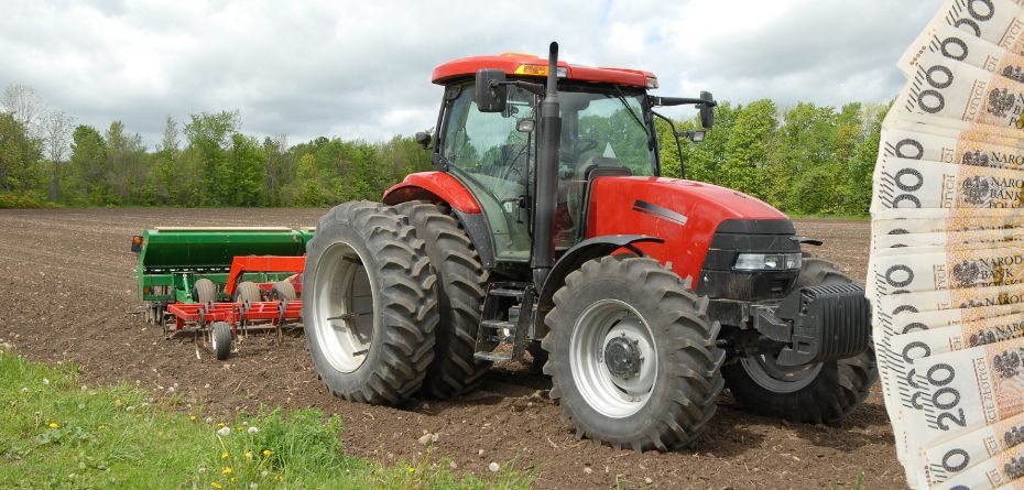 Dopłaty za 2024 rok — ile pieniędzy wypłaciła ARiMR?