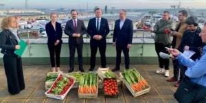 Ruszają kontrole owoców i warzyw. Co sprawdzają?