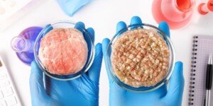 Nowy system jakości żywności – Tradition And Quality