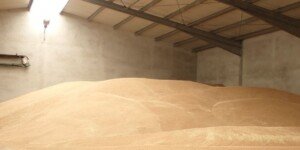 Sytuacja na rynku zbóż 2025 w Polsce, a pogoda i geopolityka