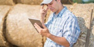 Nastroje rolników w&nbsp;II półroczu 2024 roku — brak optymizmu, szczególnie u&nbsp;producentów zbóż