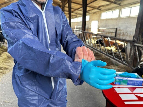 Skuteczna bioasekuracja – poznaj zasady, które chronią zdrowie zwierząt, zapobiegają chorobom i zapewniają bezpieczeństwo produkcji.