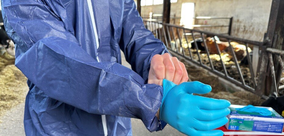 Skuteczna bioasekuracja – poznaj zasady, które chronią zdrowie zwierząt, zapobiegają chorobom i zapewniają bezpieczeństwo produkcji.