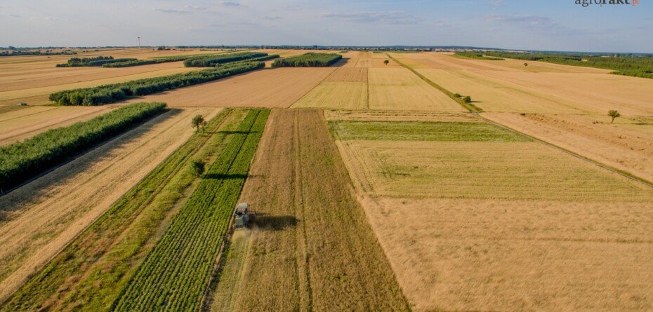 Dzierżawy KOWR – nowe przepisy i&nbsp;większa przejrzystość