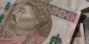 Jakie pieniądze można uzyskać na inwestycje leśne?