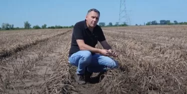 Desykacja ziemniaków: kiedy, czym i dlaczego warto?