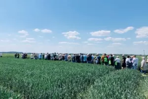 DNI POLA PROCAM 2025