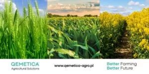 Qemetica: rebranding Ciech i&nbsp;nowy wizerunek w&nbsp;branży chemicznej