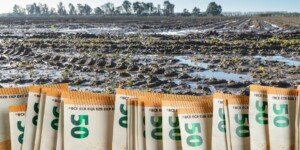 7,5 mln euro dla rolników po powodzi 2024. Polacy wykluczeni?