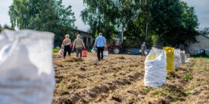 Dobrowolne ubezpieczenie wypadkowe KRUS — kiedy i jak możesz z niego skorzystać?