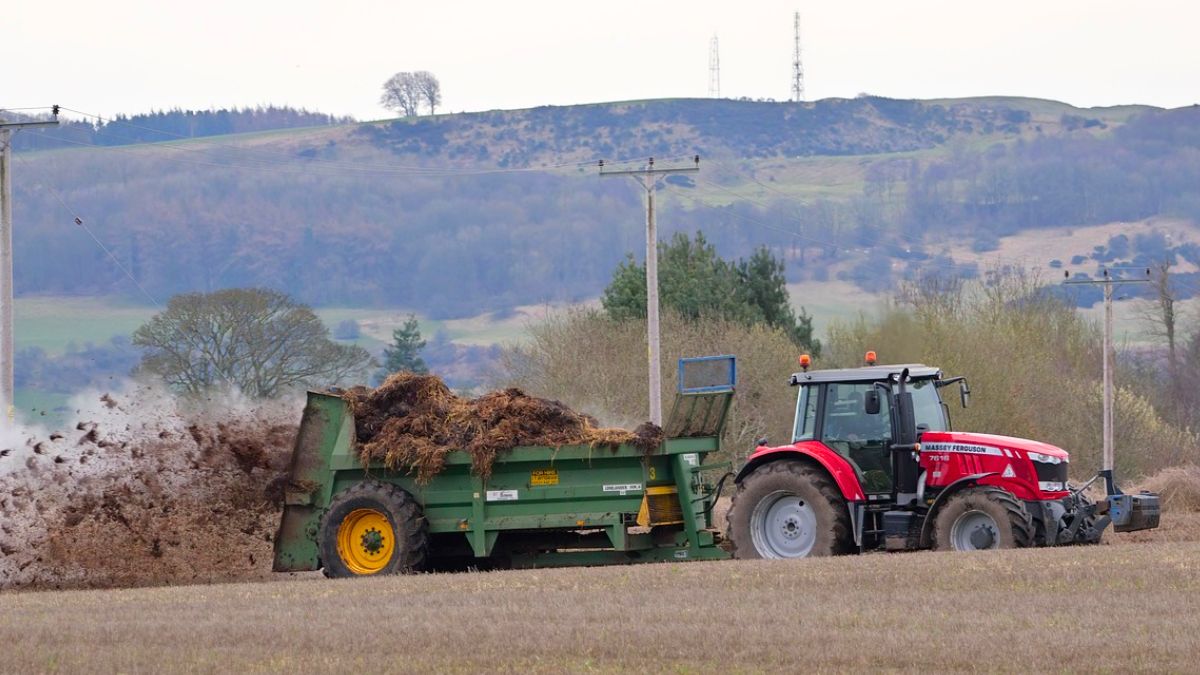 Płyty obornikowe na nowych zasadach. Sprawdź jak rolnik uniknie kary
