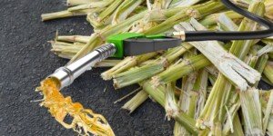 Emisje NUTS2 dla biopaliw. Polskie wyliczenia dobre wg KE