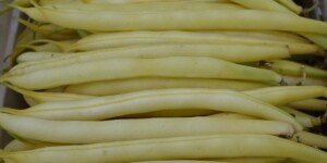 Jaka cena fasolki szparagowej na dzień dzisiejszy?