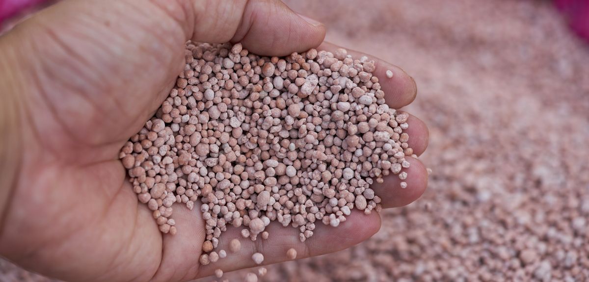 Czerwcowy cennik nawozów wieloskładnikowych. Jakie stawki?