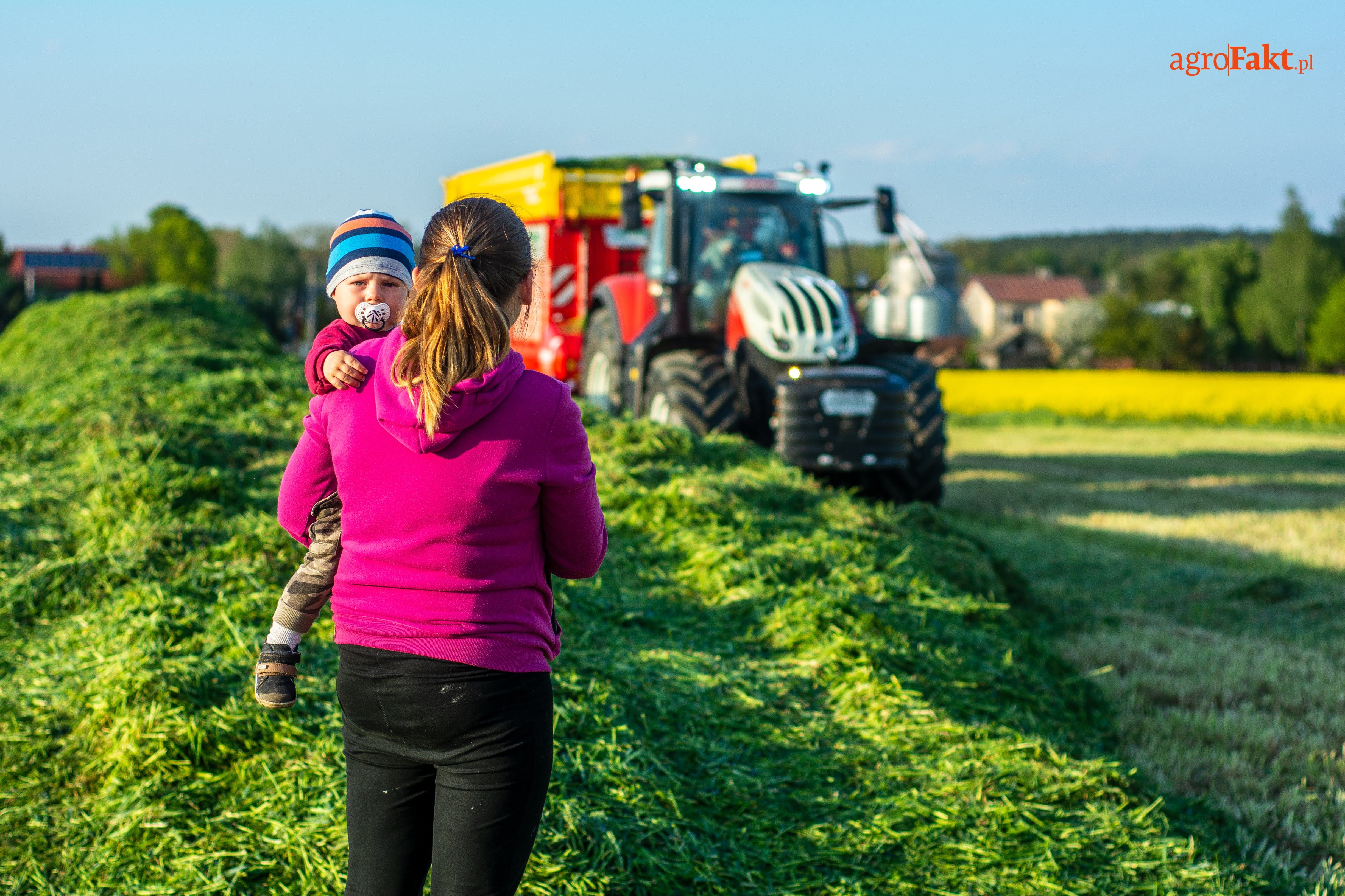 Kondycja polskiego rolnictwa 2025 pod kreską — rolnicy żyją głównie z dopłat?