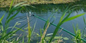 Alarm wodny! Skażona woda zagraża uprawom warzyw