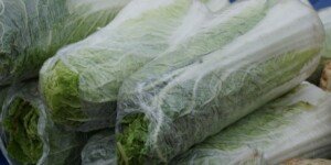 Aktualne ceny kapusty pekińskiej na giełdzie