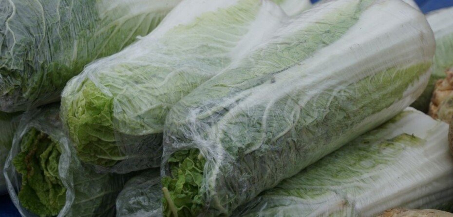 Aktualne ceny kapusty pekińskiej na giełdzie