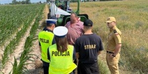 Kontrola rolnika na polu. Prawnik wyjaśnia, jakie służby mogą ją prowadzić