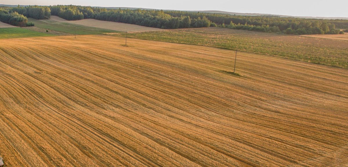 Jakie dokumenty do płatności PS WPR należy złożyć?