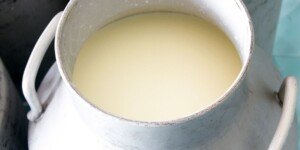 Ceny mleka 2025 wzrosły o&nbsp;14%? Sprawdź, kto zyskał najwięcej