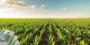 Dodatkowe miliony z&nbsp;ARiMR! Kredyty preferencyjne dla rolników 2025 już czekają