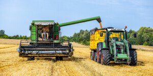 Ceny pszenicy na nowe zbiory — tyle dostaniesz teraz w&nbsp;skupie!