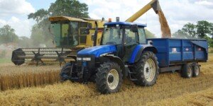 Cena pszenicy realnie spadła o 30%. Ekspert ostrzega: „W sierpniu będzie gorzej”