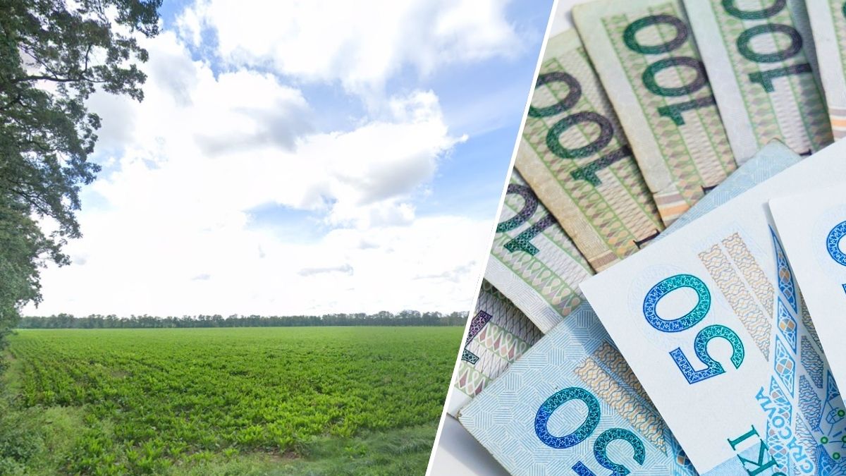 Grunty rolne z KOWR w Wielkopolsce Do wzięcia od 10 do 63 ha