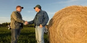 Ustna umowa dzierżawy będzie nieważna! Rząd szykuje zmiany