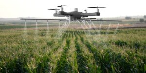 Czy opryski dronami są legalne? Sprawdź przepisy i planowane zmiany