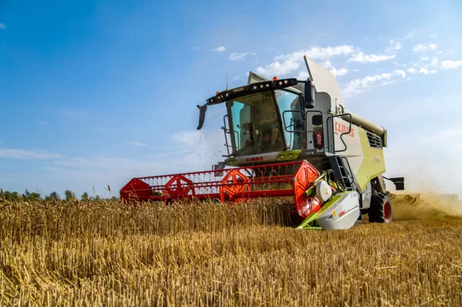 Aktualne ceny pszenicy 2025