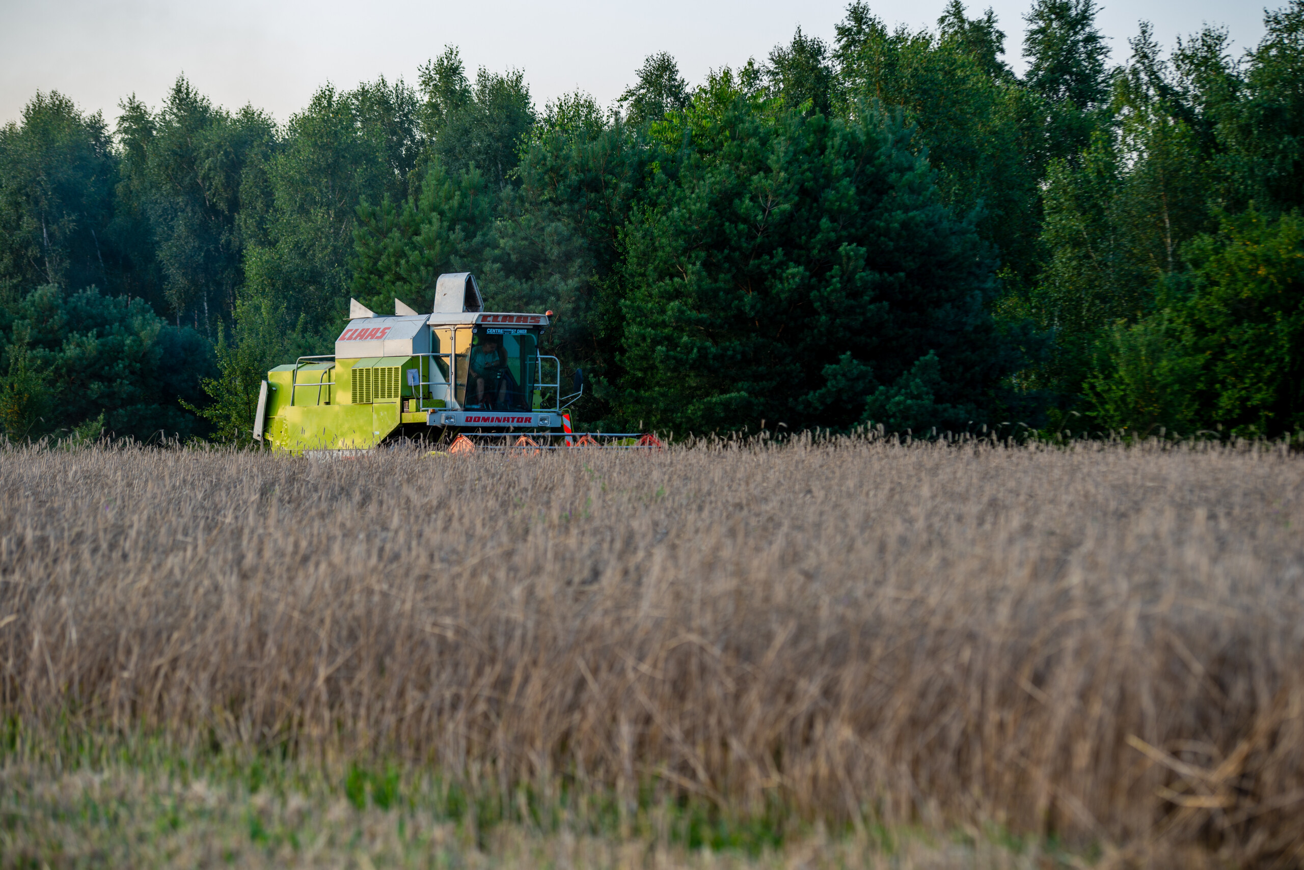 rodzinne żniwa żyta

Ursus C360 / Claas Dominator

Gospodarstwo Rolne
Bartosz Górzyński
gm. Jastrząb pow. szydłowiecki