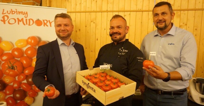Malinowy smak sukcesu czyli pomidory malinowe Syngenta