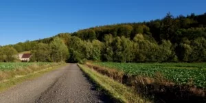 Rozwój małych gospodarstw w&nbsp;2025 roku