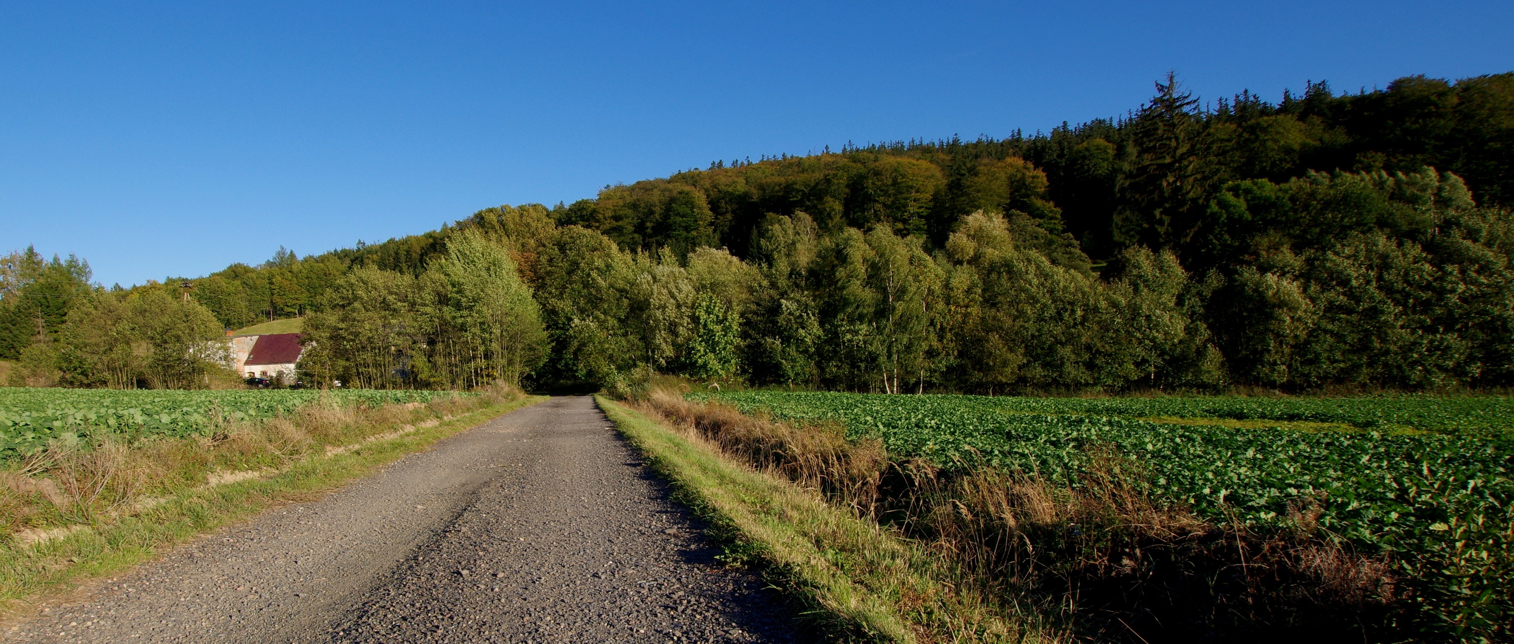 Rozwój małych gospodarstw w 2025 roku
