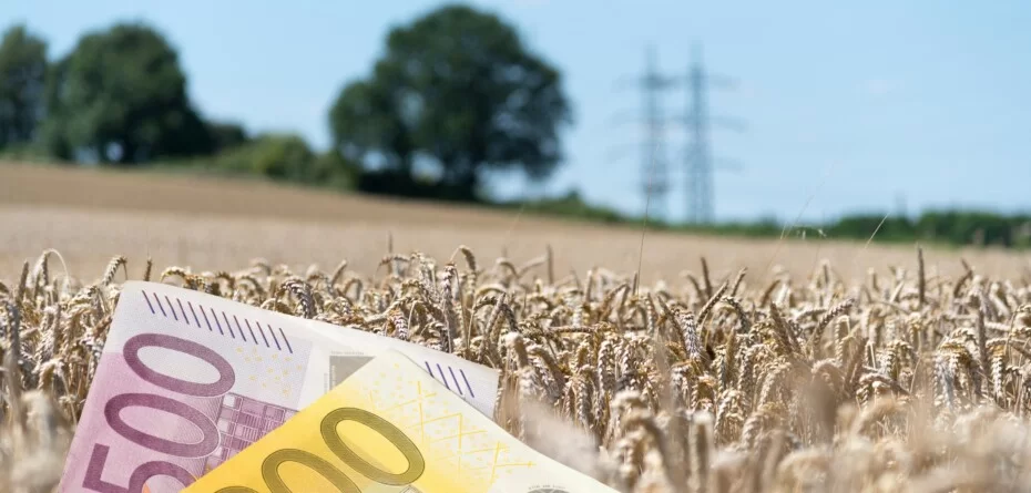 Dopłaty 2026 dla rolników – euro na polu zbożowym jako symbol finansowania z UE.