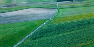 Dotacje na drogi dojazdowe do gruntów rolnych