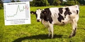 Ceny mleka będą spadać? Eksperci: „Zrewidowaliśmy prognozy w&nbsp;dół”