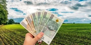 Rolnicy zapłacą więcej czy mniej? Rząd zmienia dopłaty do ubezpieczenia upraw