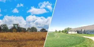 90 ha ziemi do wzięcia od KOWR. Gleby idealne, ale to oferta dla odważnych