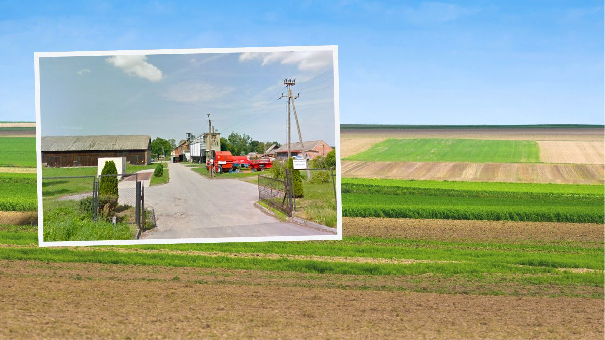 KOWR sprzedaje 172 ha ziemi po PGR-ze. Wysoka cena to nie jedyny haczyk