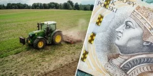 KOWR wydzierżawi 128 ha pola w Zagrodnie. Ale jest haczyk
